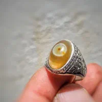 باباقوری جزع