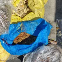 مناسب گاوداری و آسیاب و دامداری تفاله غوره لیمو