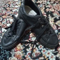 کفش مردانه و زنانه|کیف، کفش، کمربند|قوچان, |دیوار