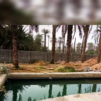 باغ ویلا استخر دار نی‌نیزک شاهزاده ابراهیم|فروش خانه و ویلا|برازجان, |دیوار
