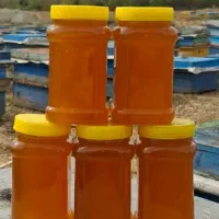 عسل دیابتی کوهی