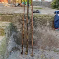 چوب دستی جنگلی|کلکسیون اشیاء عتیقه|فاضل آباد, |دیوار