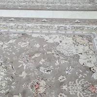 فرش ۱۲ متری گردویی|فرش|مشهد, انقلاب|دیوار