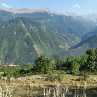 زمین ( فروش یا معاوضه ) (خریدار یا سازنده ) بخونید
