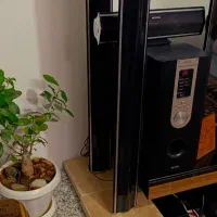 باند سالم بشرت