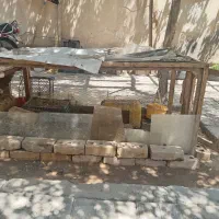 قفس مرغ فروشی