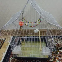 قفس پرنده