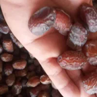 خرما|خوردنی و آشامیدنی|اهواز, منازل کارون|دیوار
