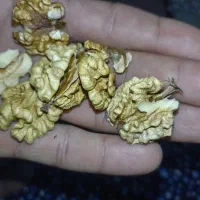 گردو|خوردنی و آشامیدنی|چناران, |دیوار