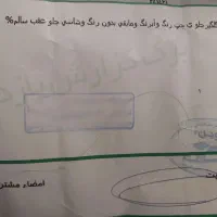 تیبا ۲ مدل ۹۸|خودرو سواری و وانت|کرمان, |دیوار