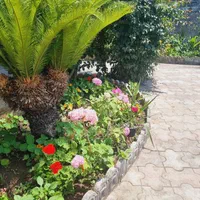 تهاتر و معاوضه ویلای ۳۸۰ متر سندتک برگ پایانکار|فروش خانه و ویلا|تهران, ارم|دیوار