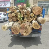 هر نوع چوب تر و خشک،درخت میخرم