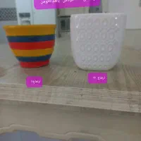 گل آلوئه ورا.گل طبیعی وگلدان سرامیکی وپلاستیکی|حراج|قم, باسکول|دیوار