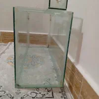 آکواریوم|ماهی|بندرعباس, |دیوار