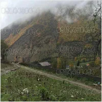 زمین بافت 100درصد مسکونی نزدیک ابگرم معدنی لاویج|فروش زمین و ملک کلنگی|نور, |دیوار