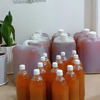 آبغوره تازه از باغات بیضا شیراز