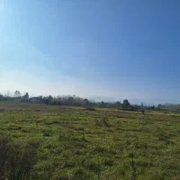 فروش زمین ۲۵۰ متری در ماسال|فروش زمین و ملک کلنگی|طاهرگوراب, |دیوار