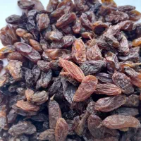 کشمش افتابی گله کاشمر|خوردنی و آشامیدنی|مشهد, کوشش|دیوار