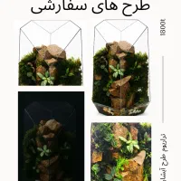 انواع تراریوم|گل و گیاه طبیعی|تبریز, |دیوار