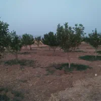 باغ شهر مینودشت سلطانیه