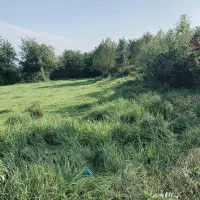 زمین باغی بازکیاگوراب ایشکا|فروش زمین و ملک کلنگی|لاهیجان, بازکیاگوراب|دیوار