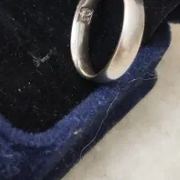 حلقه نقره|بدلیجات|تهران, باغ فیض|دیوار