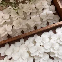 گیفت عقد و عروسی