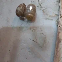 مهره قدیمی|کلکسیون اشیاء عتیقه|امیدیه, |دیوار