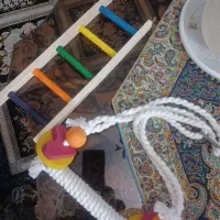 تاب و نردبان طوطی و کاسکو