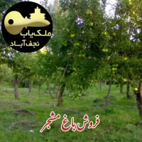 فروش-باغ-با-درختان-زیربارموقعیت-وابعاد-عالی