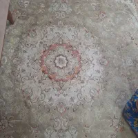 کابینت و فرش فروشی|فرش|فردیس, نسترن غربی|دیوار