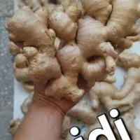 زنجبیل چینی بار تازه
