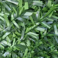 فنس چمنی|گل مصنوعی|شیراز, اصلاح‌نژاد|دیوار