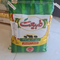 برنج هندی طبعت