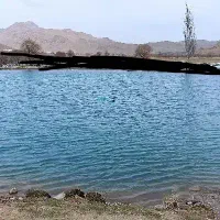 زمین-کشاورزی
