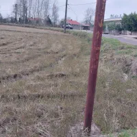 شالی خارج طرح متراژ ۲۵۰متری