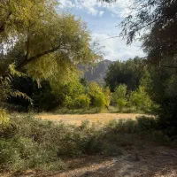 باغ-بسیار-با-صفا-در-سیرچ