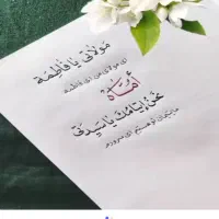 مدارک گم کردم