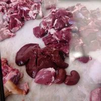 گوسفند زنده|حیوانات مزرعه|کرمان, |دیوار