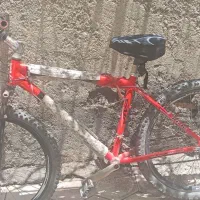 دوچرخه ویوا اصل