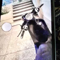 موتوربرقی همتار 3000|موتورسیکلت|مشهد, کلاهدوز|دیوار