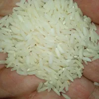برنج طارم  علا  10کیلو