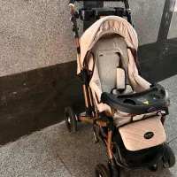 کالسکه دلیجان|کالسکه و لوازم جانبی|تهران, هروی|دیوار