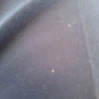 کاه یونجه بومی