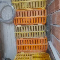 جعبه مرغی ۴عددسالم سالم