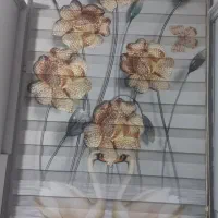 پرده زبرا دومکانیزم ۲۵۰۰