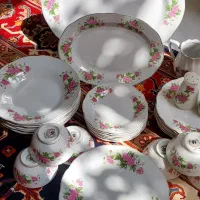 سرویس غذا خوری