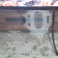 محافظ تلویزیون