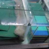 آکواریوم بزرگ|ماهی|رشت, حمیدیان|دیوار