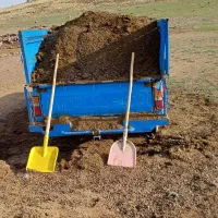 کود حیوانی برای کشاورزی|گل و گیاه طبیعی|مشگین شهر, |دیوار